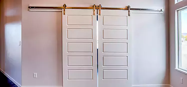 Glass Barn Door with Installation Hardware Kit Los Gatos